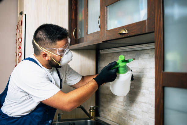 Ramona, CA Pest Control Company