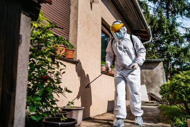 Pest Prevention Services in Ramona, CA