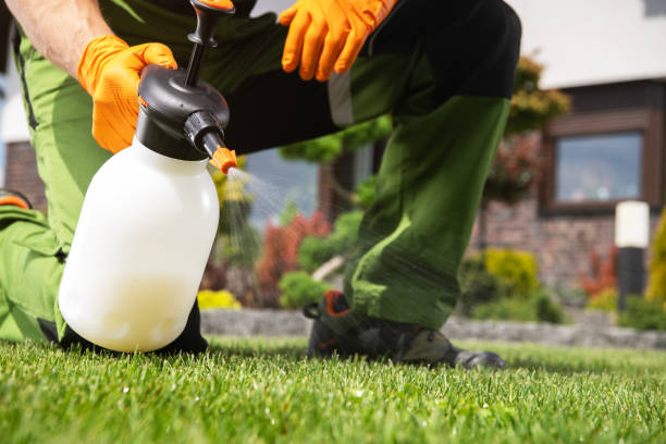 Best Pest Removal Services  in Ramona, CA