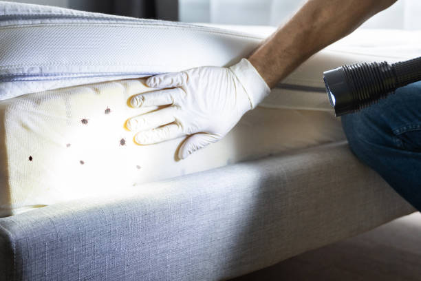 Best Pest Prevention Services  in Ramona, CA