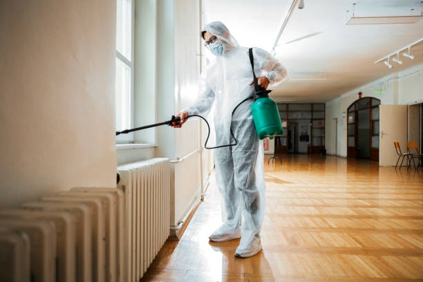 Best Flea Control Services  in Ramona, CA