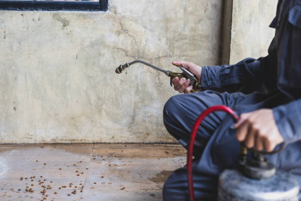 Best Residential Pest Control  in Ramona, CA