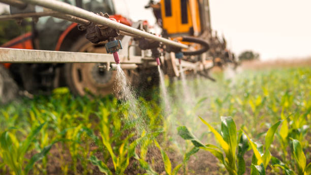 Best Commercial Pest Control Services  in Ramona, CA